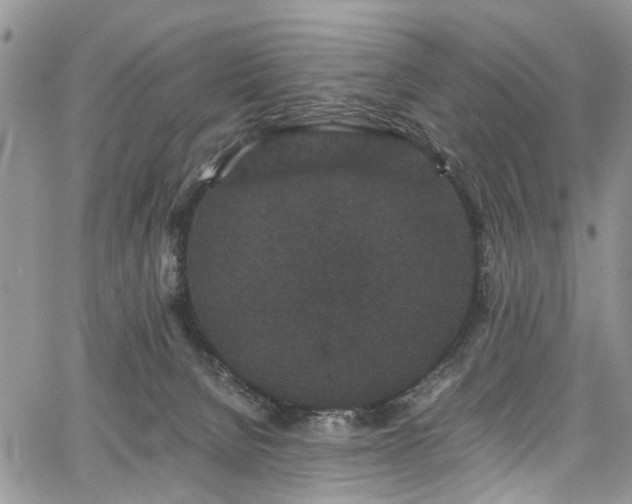 X0000067900080200604201346