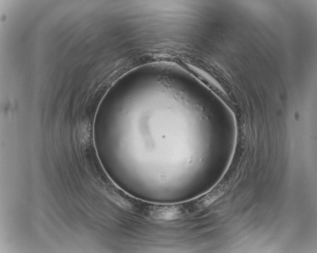 X0000067900081200604201346