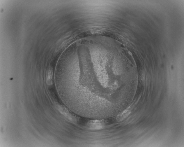 X0000067900082200604201346