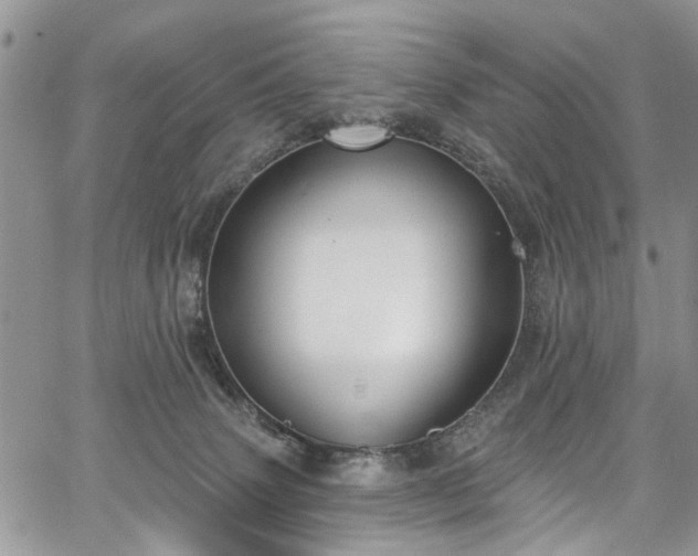 X0000067900083200604201346