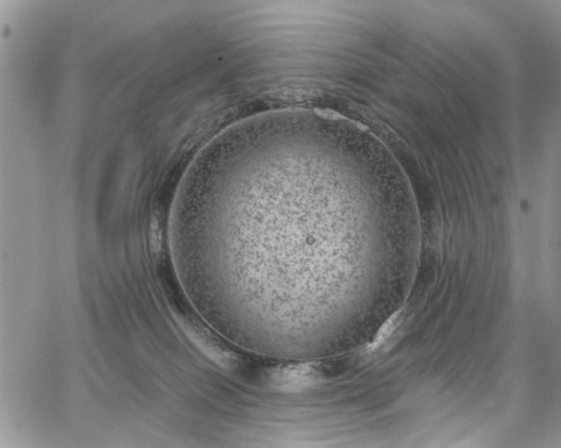 X0000067900086200604201346