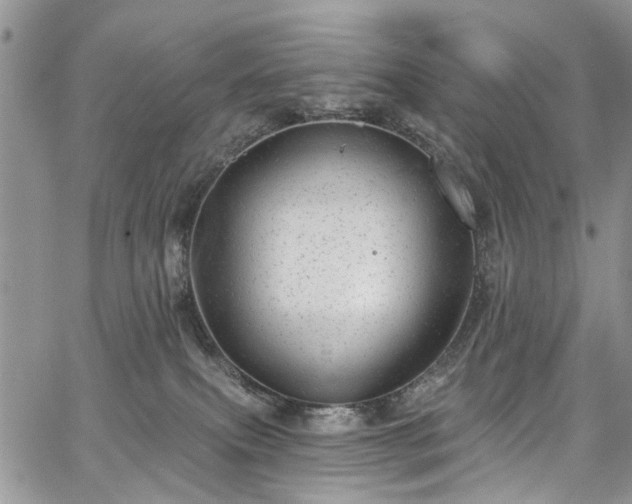 X0000067900087200604201346