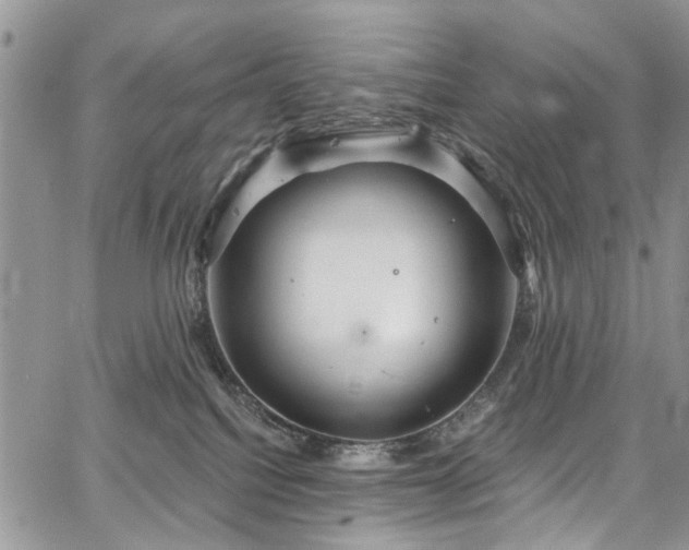 X0000067900088200604201346