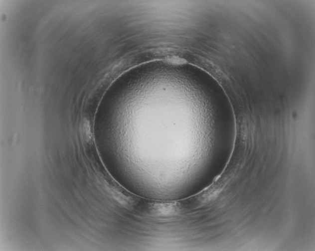 X0000067900089200604201346