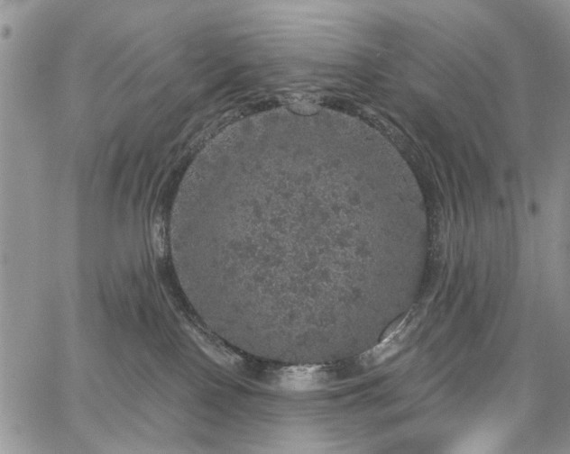 X0000067900090200604201346