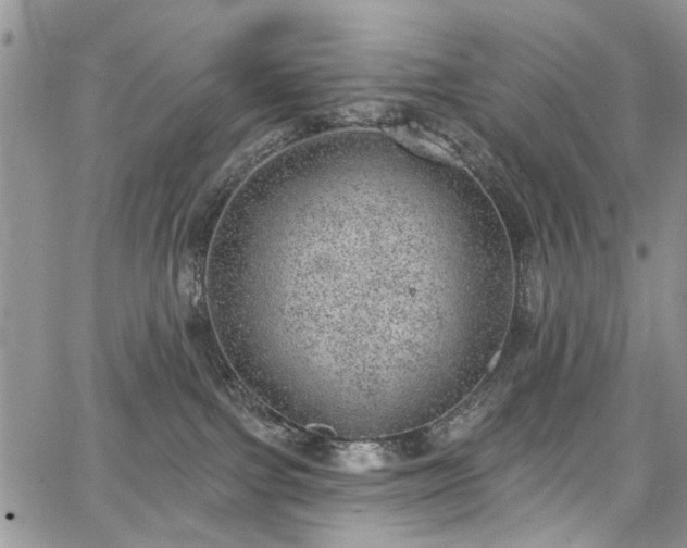 X0000067900091200604201346