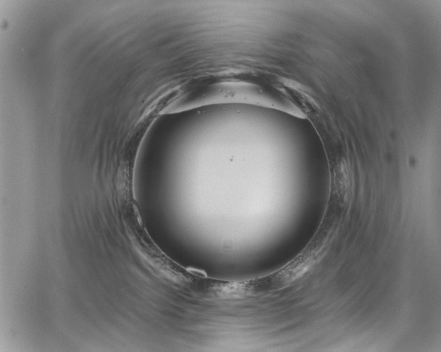 X0000067900092200604201346