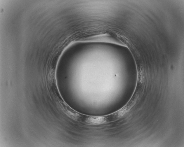 X0000067900093200604201346