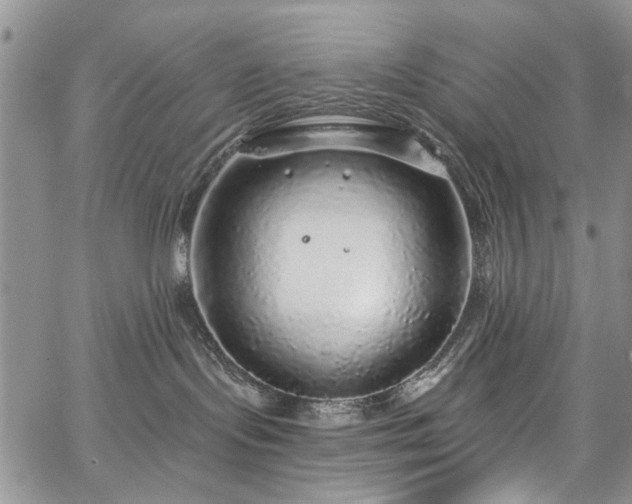 X0000067900095200604201346