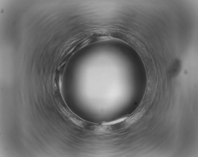 X0000067900096200604201346