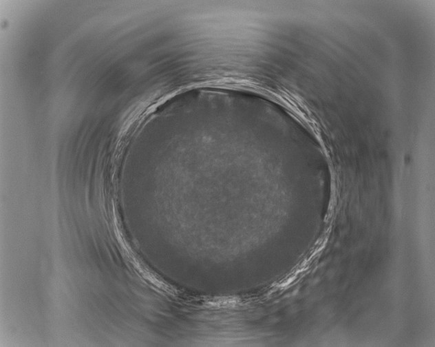 X0000067900097200604201345