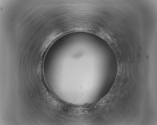 X0000067900098200604201345