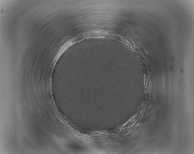 X0000067900099200604201345