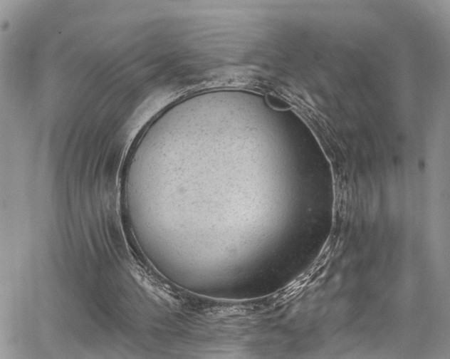 X0000067900100200604201345