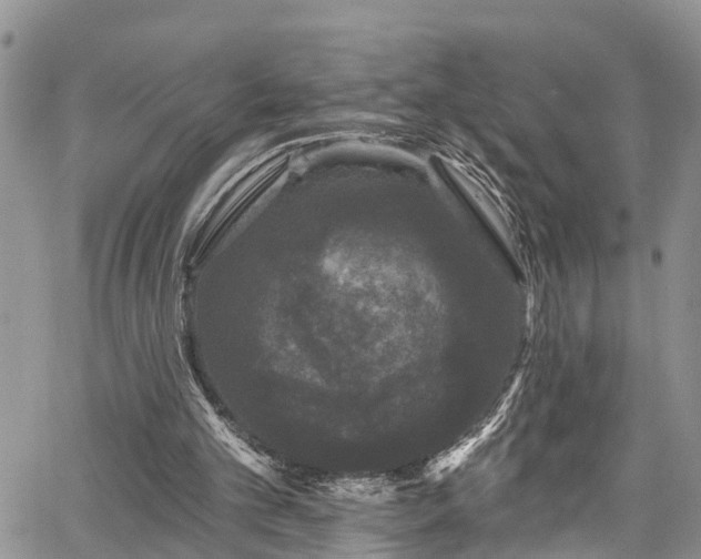 X0000067900101200604201345