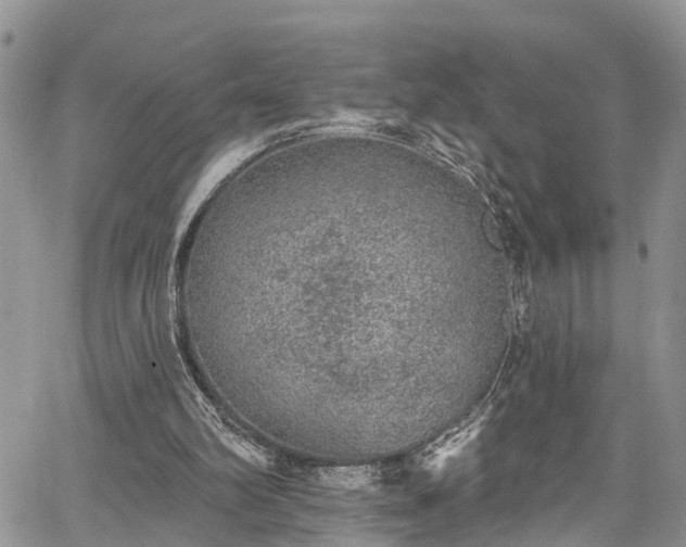 X0000067900102200604201345