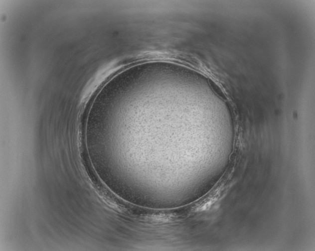 X0000067900103200604201345