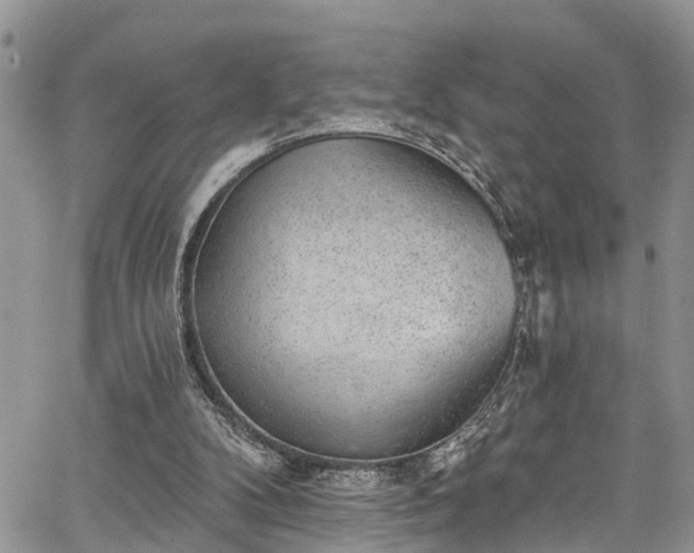 X0000067900104200604201345