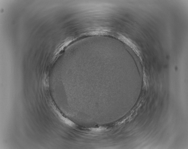 X0000067900105200604201345