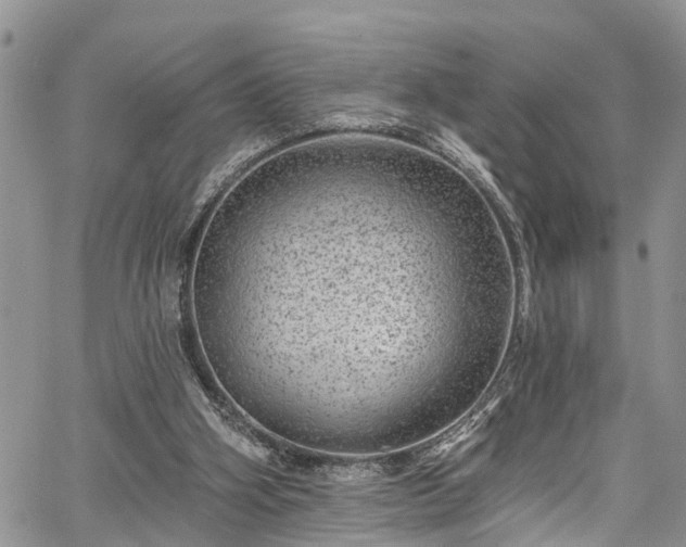 X0000067900106200604201345