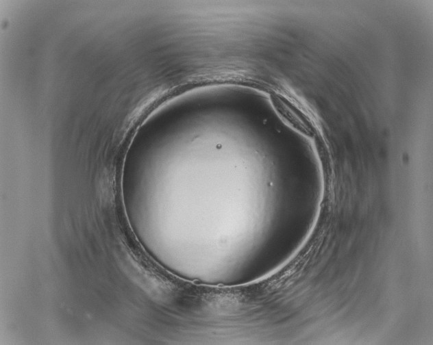 X0000067900107200604201345