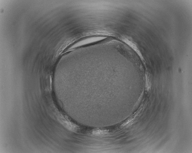 X0000067900109200604201345