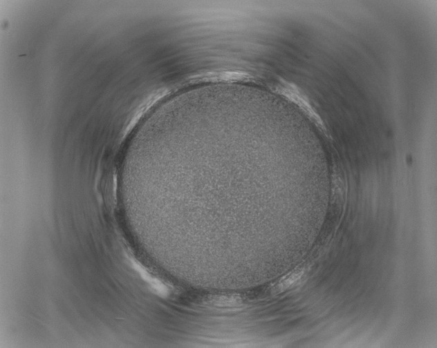 X0000067900110200604201345