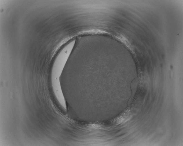 X0000067900111200604201345