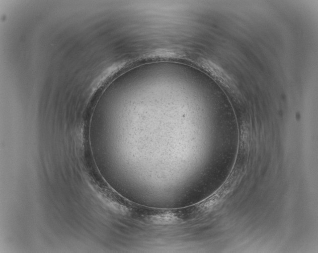 X0000067900112200604201345