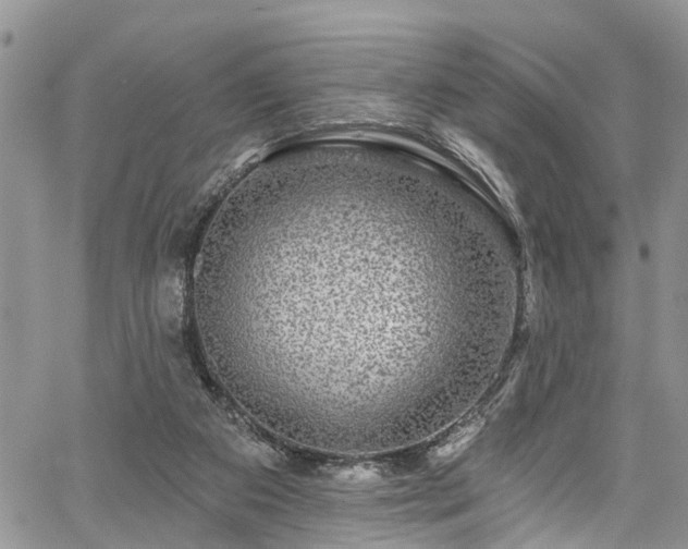 X0000067900113200604201345