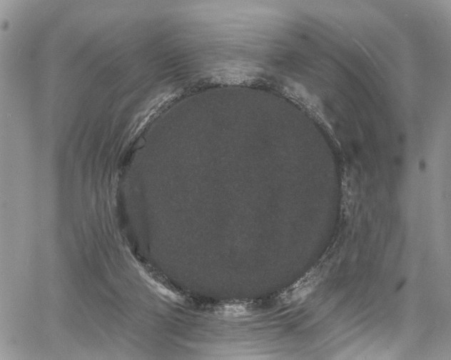 X0000067900114200604201345