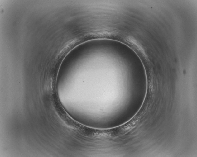 X0000067900115200604201345