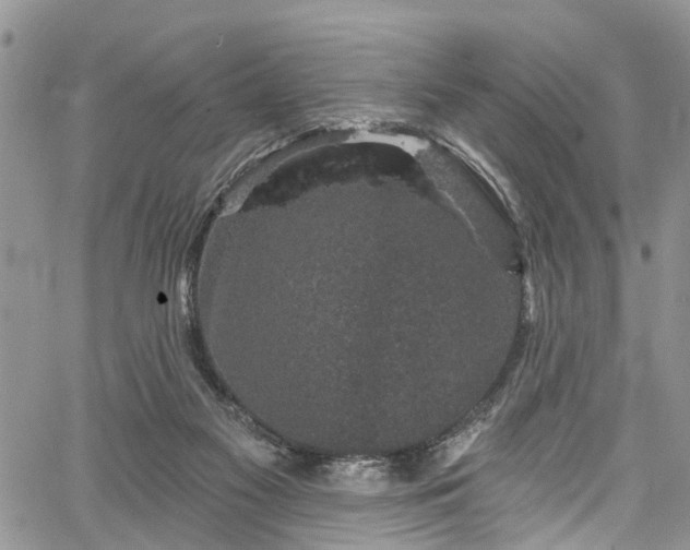 X0000067900117200604201345