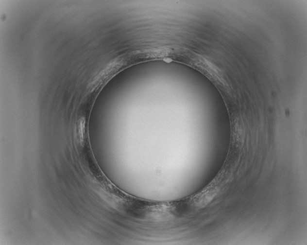 X0000067900118200604201345