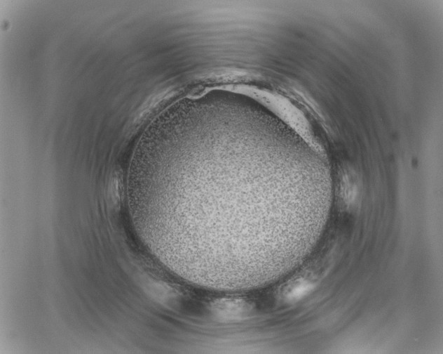 X0000067900119200604201345