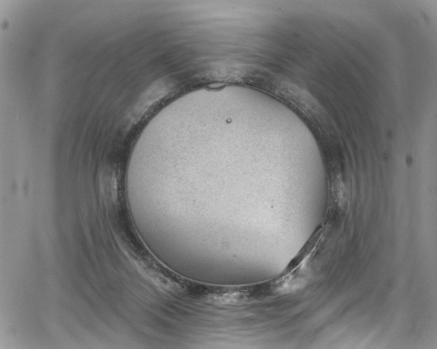 X0000067900120200604201345