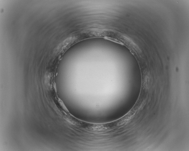 X0000067900121200604201345