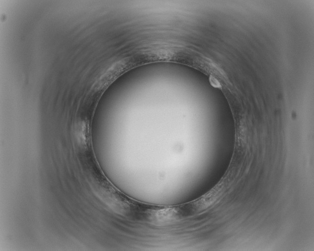 X0000067900122200604201345