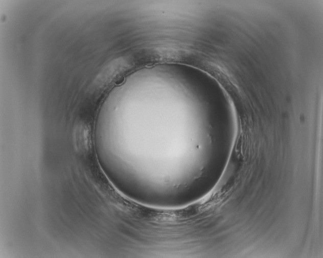 X0000067900123200604201345