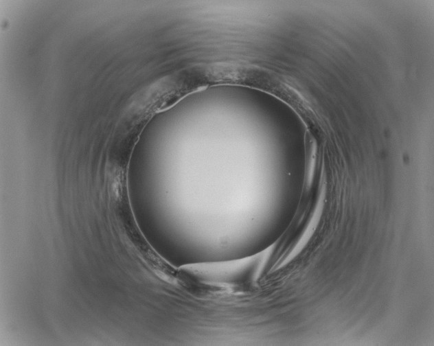 X0000067900125200604201345