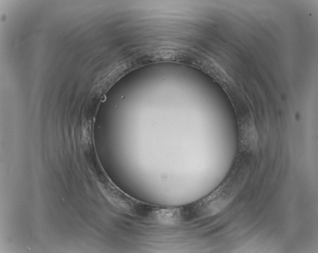 X0000067900126200604201345