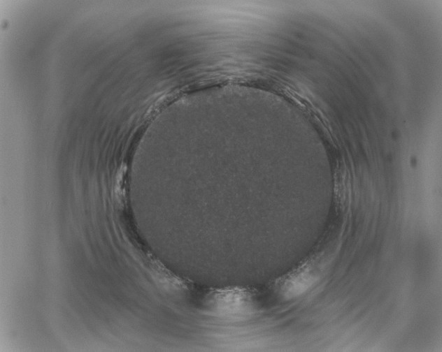 X0000067900127200604201344