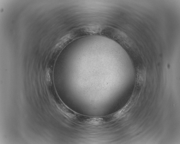 X0000067900128200604201344