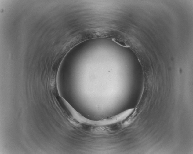 X0000067900129200604201344