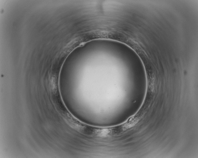 X0000067900131200604201344