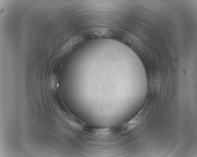 X0000067900132200604201344