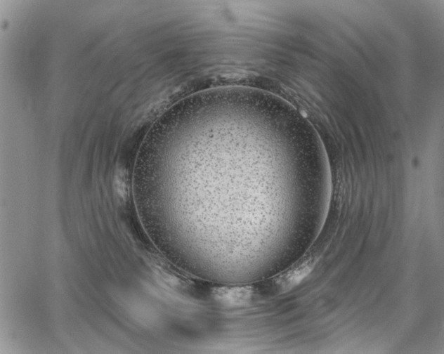 X0000067900135200604201344