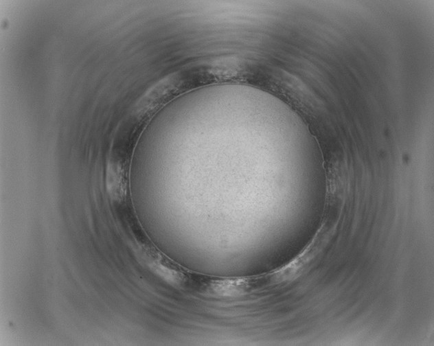 X0000067900136200604201344