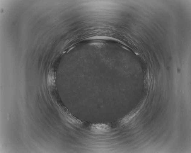 X0000067900137200604201344