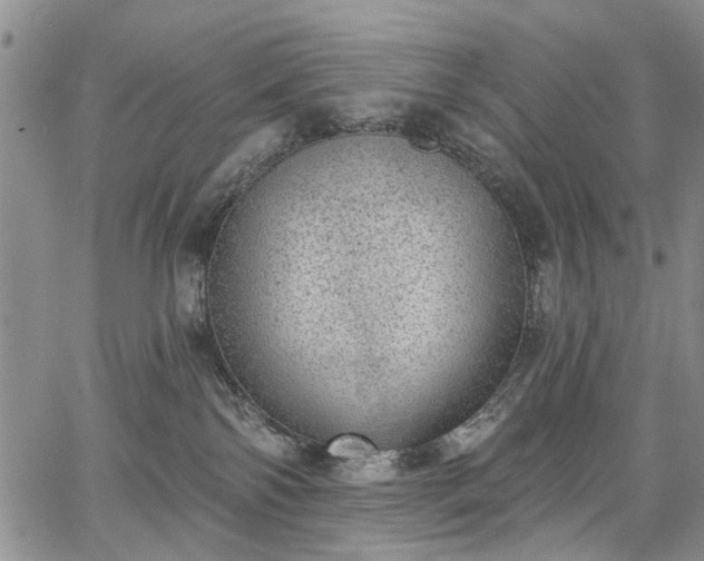 X0000067900138200604201344